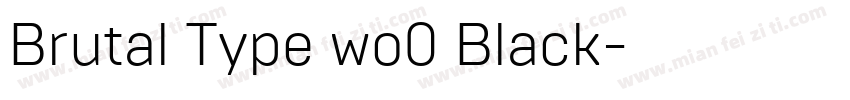 Brutal Type wo0 Black字体转换